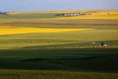 The average increase in value of cultivated Canadian farmland was 11.5 per cent in 2023, and there is clear evidence that the cost of owning land in some areas now outstrips its income generation ability.