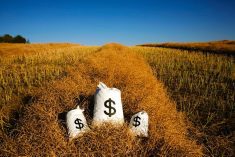 What will drive grain prices higher?