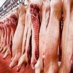 (Dragos Cojocari/iStock/Getty Images)
