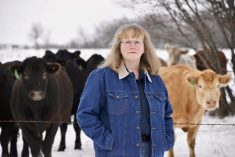 Cheryl Waldner, a professor and researcher with the University of Saskatchewan, calls bovine respiratory disease one of the most important causes of sickness and death loss in beef cattle.