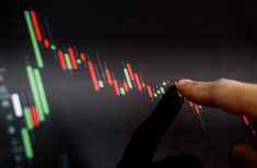 The ups and downs of canola futures markets