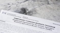 Photo: powerofforever/iStock/Getty Images