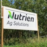 (File photo by Dave Bedard)
