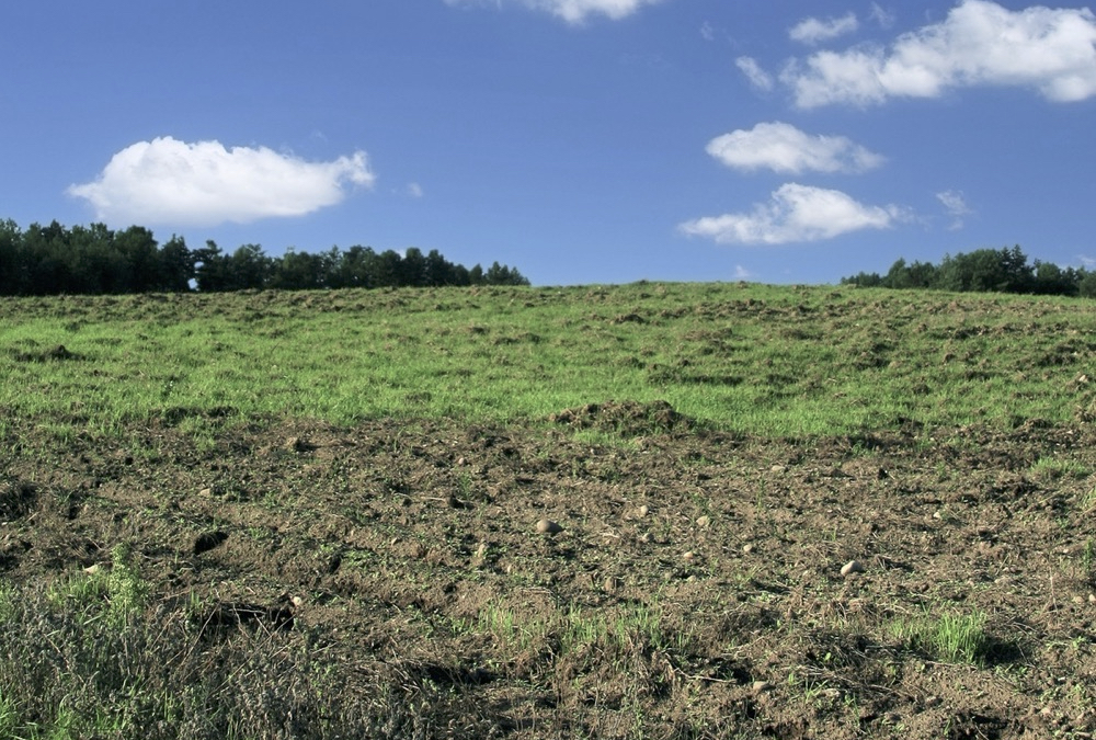 The Marginal Areas Program typically offers $135 to $150 per acre, depending on location.