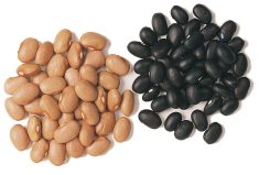 Manitoba is a leading source of dry bean production in Canada.