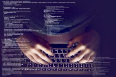 Greater cyber vulnerability is part of the price we pay for technological sophistication.