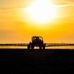 (Leonid Eremeychuk/iStock/Getty Images)
