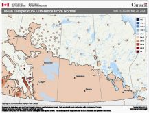 This map shows the difference from average temperature from April 23 to May 20 across the Prairies. Most people feel it has been a cooler spring, but the map shows most areas have seen near to slightly above average temperatures. The exception is some parts of Alberta, which have been cooler than average.