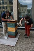 Grant Hamilton and Deanna Smid check on their rooftop bee colonies at Brandon University May 21. PHOTO: Miranda Leybourne