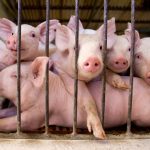 Photo: Reuters/Enrique Marcarian
