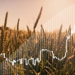 Photo: Scharfsinn86/Getty Images
