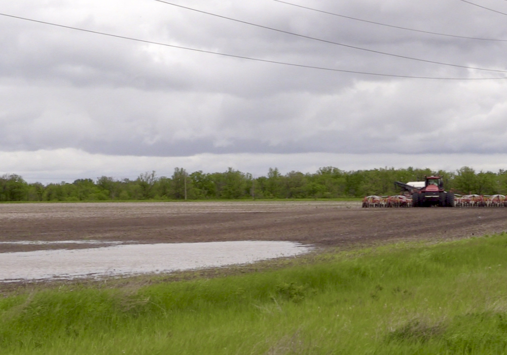 A seeding unit sits parked in a field north of Winnipeg, Man., due to wet field conditions on June, 6, 2024.  Photo: Greg Berg
