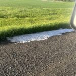 Hail at the side of a field.