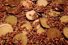 A weaker Canadian dollar typically boosts the competitiveness of Canadian exports, however input costs may rise as a result.