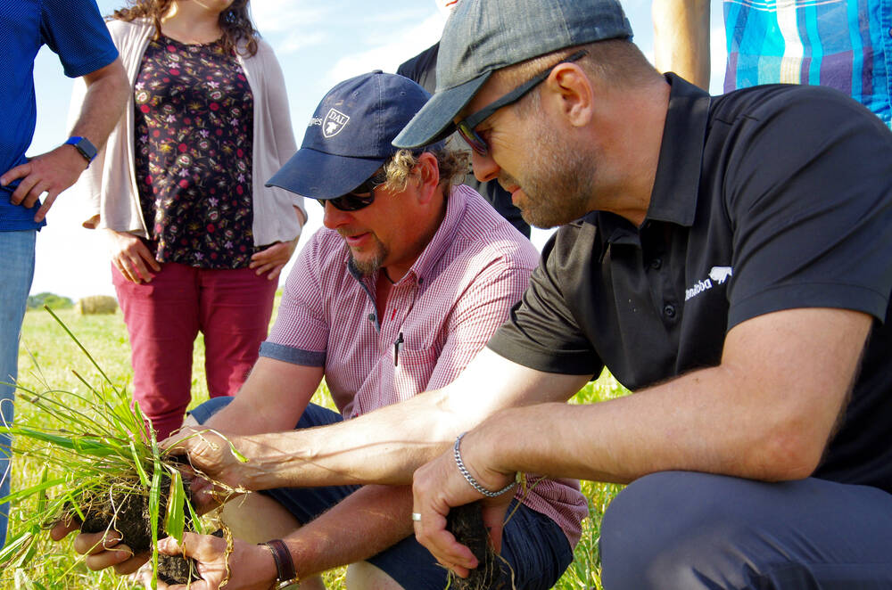 Field day attendees check out soil health gains at the Robins farm in western Manitoba in 2019.