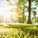 (Warchi/iStock/Getty Images)
