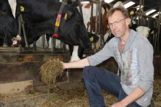 Europe’s manure mathematics frustrate farmers