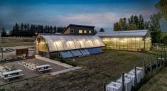Assiniboine College's current greenhouse facilities are 3,300 square feet and house research and student learning activities.