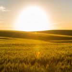 (Evandrorigon/E+/Getty Images)
