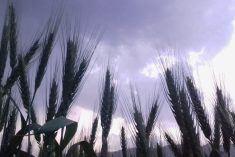 (PK Ahmad/iStock/Getty Images)
