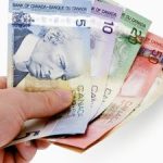 Carbon tax rebate available to farms with employees