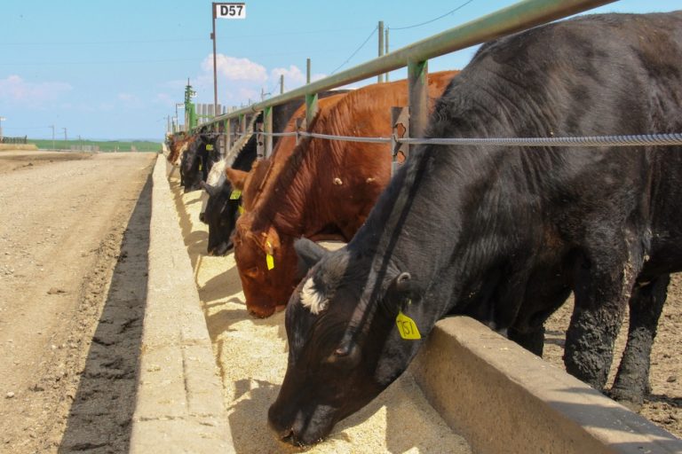 New Canadian feed regulations released Manitoba Cooperator