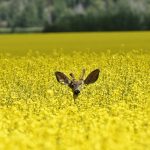 (PamWalker68/iStock/Getty Images)
