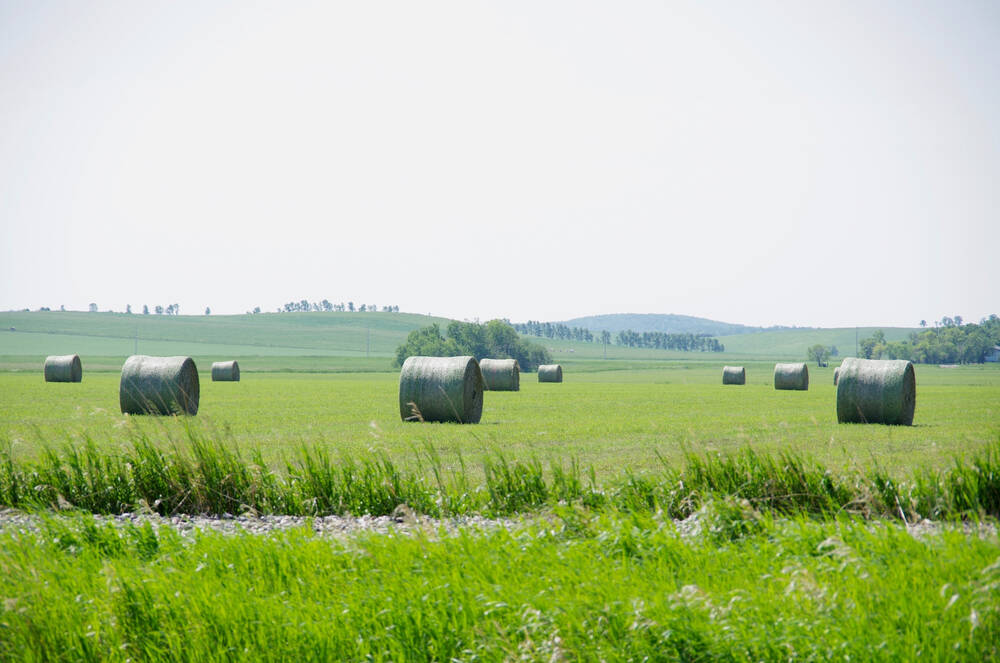Hay bales in western Manitoba.