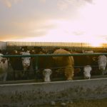 (Photo courtesy Canada Beef Inc.)
