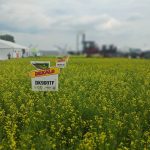 Ag in Motion site abuzz on show eve
