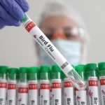 A person holds a test tube labelled “Bird Flu”, in this picture illustration, January 14, 2023. REUTERS/Dado Ruvic/Illustration/File Photo
