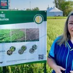 Bayer’s Ashley Smith says Huskie PRE “fills that critical gap” for cereal growers trying to control resistant weeds in the West.
