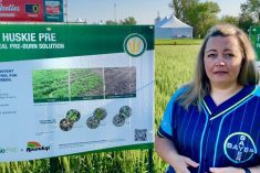 Bayer&#8217;s Ashley Smith says Huskie PRE &#8220;fills that critical gap&#8221; for cereal growers trying to control resistant weeds in the West.
