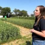 SaskWheat brought five varieties of durum wheat to Ag in Motion this year.