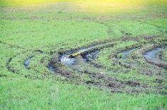 Water pools in sprayer track rutting in a field.