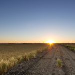 File photo of a sunrise over an Alberta barley crop. (MNphotography/iStock/Getty Images)
