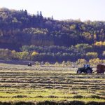 (Photo courtesy Canada Beef Inc.)
