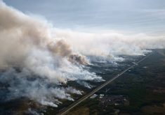 Smoke from the Alberta wildfire