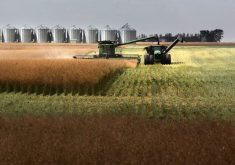 It may be tempting to think the hunger problems facing other parts of the world are far removed from us, but food insecurity is more common close to home than many Canadians would like to think.