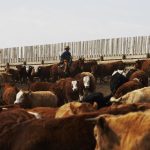 (Photo courtesy Canada Beef Inc.)
