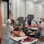 US to expand bird-flu testing of beef in slaughterhouses