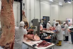 The inquisition on foreign labour is coming; is agriculture ready for it?