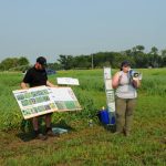 Laura Schmidt of the Manitoba Pulse and Soybean Growers (right) presents on phytophthora root rot at a field day in Melita, Man. PHOTO: GORD LEATHERS