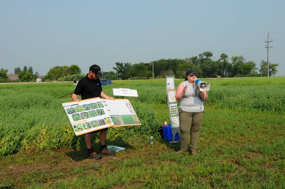 Laura Schmidt of the Manitoba Pulse and Soybean Growers (right) presents on phytophthora root rot at a field day in Melita, Man. PHOTO: GORD LEATHERS