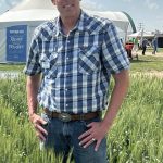 New wheat on the block for sawfly, midge