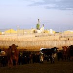 (Photo courtesy Canada Beef Inc.)
