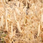 (Nathan4847/iStock/Getty Images)
