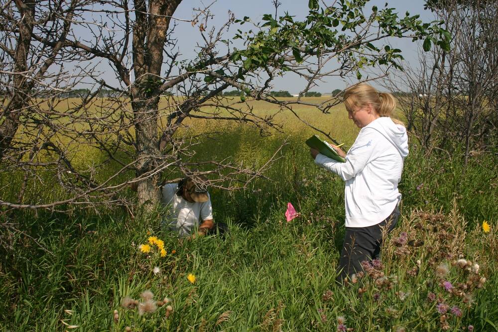 Julia Leeson (standing) and a student record vegetation cover data at a field boundary. 