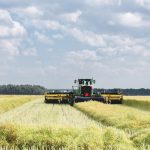 Photo: iStock/Getty Images
