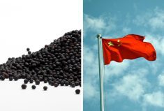 China plans to start an anti-dumping investigation into canola imports from Canada due to tariffs Canada had placed on China's electric vehicle imports.